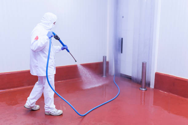 Best Spring Cleaning  in Cottonwood Shores, TX